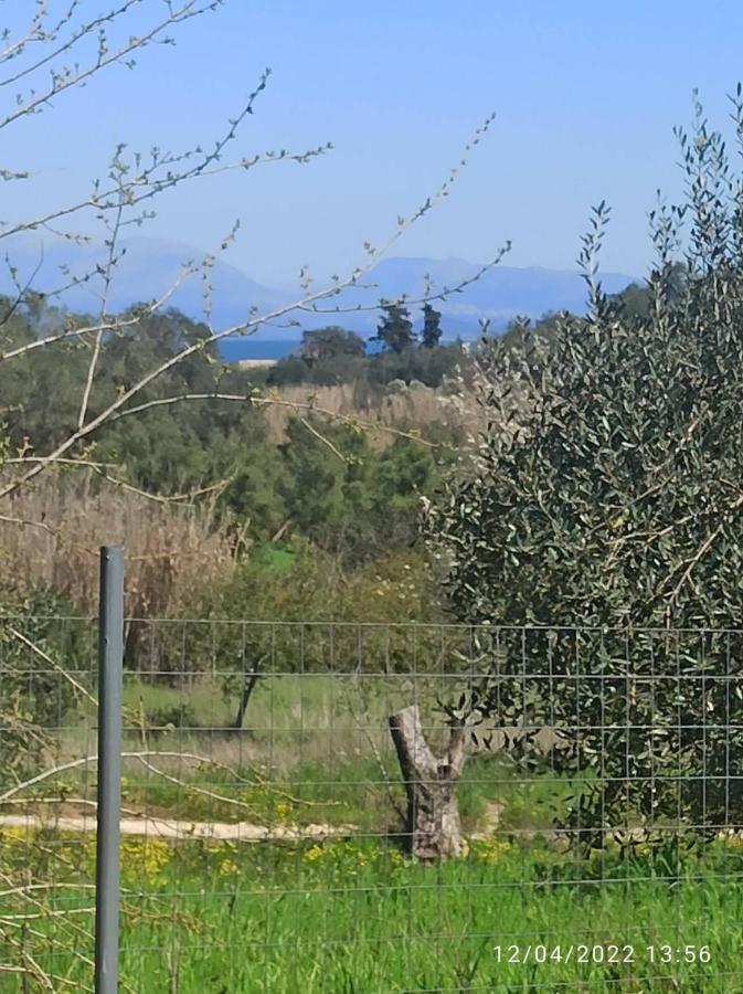 Corfu Oasis Studio Neochorakion Luaran gambar